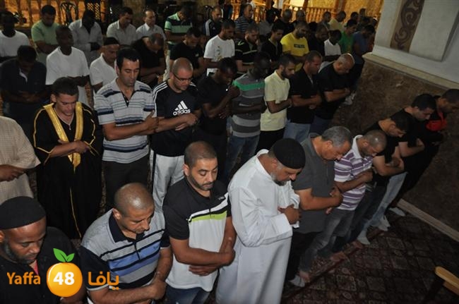 tarawee7 kabeer j (13).JPG